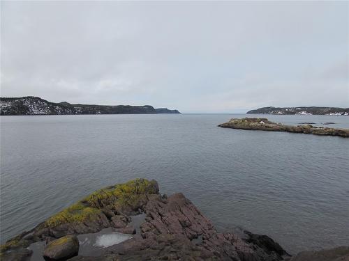 43 Cove Road, Colliers, NL 