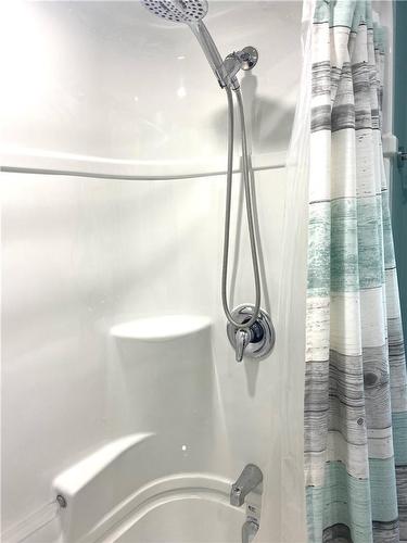 Adjustable shower. - 322 Oxford Avenue, Crystal Beach, ON - Indoor Photo Showing Bathroom