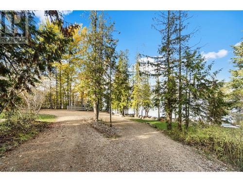 4047 Torry Road Road, Eagle Bay, BC - Outdoor With View