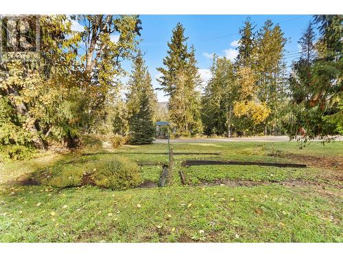 4047 Torry Road Road, Eagle Bay, BC - Outdoor