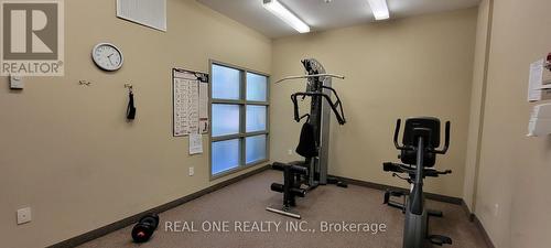 11 - 38 Gibson Avenue, Toronto, ON - Indoor Photo Showing Gym Room