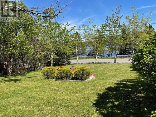 133 Bayview Street, Marystown, NL - Outdoor With View