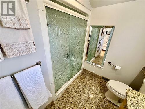 1744 Windle Drive, Sudbury, ON - Indoor Photo Showing Bathroom