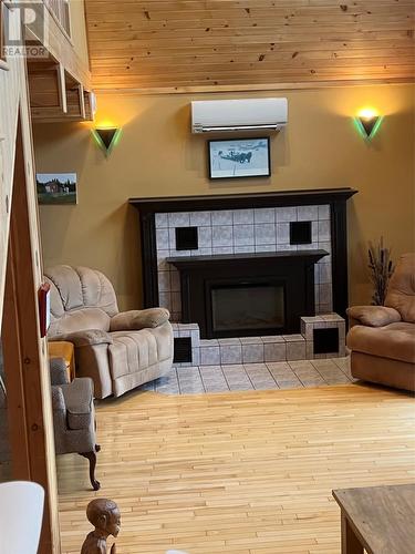 57 Harbourside Drive, Winterbrook, NL - Indoor With Fireplace