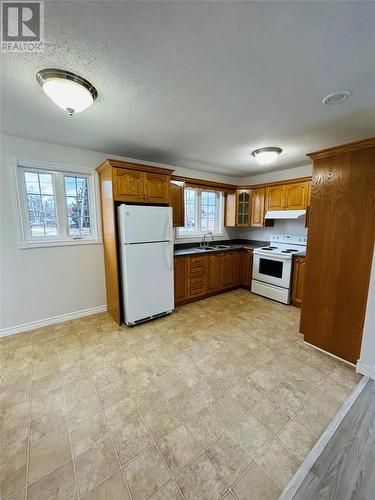 7 Whitmore Street, Grand Falls-Windsor, NL - Indoor Photo Showing Kitchen