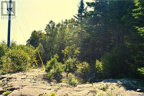 - Fundy Drive, Wilsons Beach, NB 