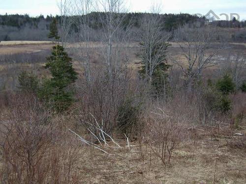 Lot 2 Pleasant Valley, Yarmouth, NS 
