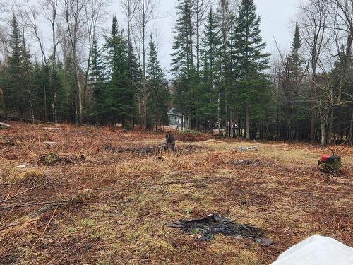 Land/Lot - Rue De L'Habitat, Mont-Laurier, QC 