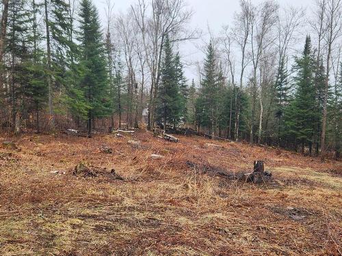 Land/Lot - Rue De L'Habitat, Mont-Laurier, QC 