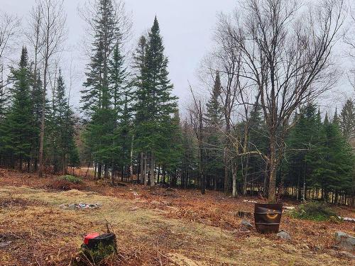 Land/Lot - Rue De L'Habitat, Mont-Laurier, QC 