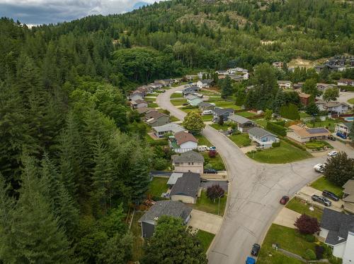 2201 Mcbride Street, Trail, BC - Outdoor With View