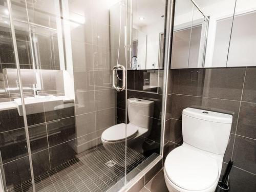 Bathroom - 516-198 Rue Ann, Montréal (Le Sud-Ouest), QC - Indoor Photo Showing Bathroom