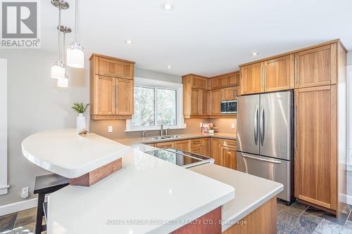 9 Heather Avenue, Guelph, ON - Indoor Photo Showing Kitchen With Double Sink