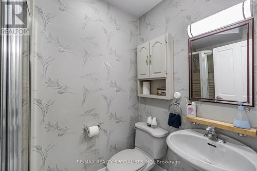 521 Guelph St, Halton Hills, ON - Indoor Photo Showing Bathroom