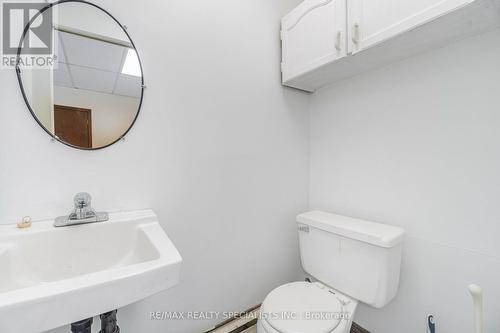 521 Guelph Street, Halton Hills, ON - Indoor Photo Showing Bathroom