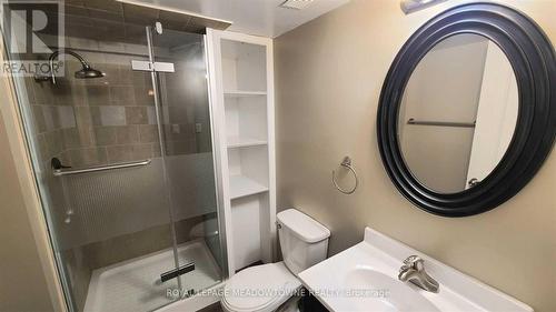 4 Bonnette Street, Halton Hills, ON - Indoor Photo Showing Bathroom
