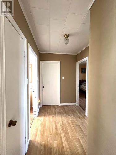 74 Maple Street, Badger, NL - Indoor Photo Showing Other Room