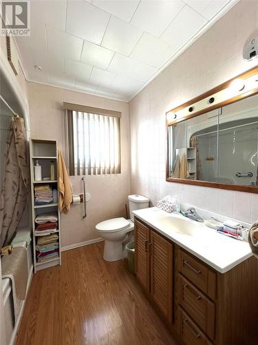 74 Maple Street, Badger, NL - Indoor Photo Showing Bathroom