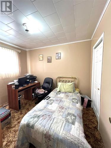74 Maple Street, Badger, NL - Indoor Photo Showing Bedroom