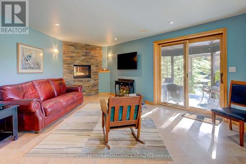 338 Moulton Farm Lane, Rideau Lakes, ON - Indoor Photo Showing Living Room With Fireplace