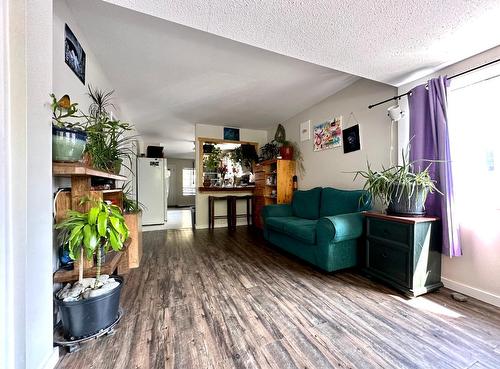 47 Morrison Road, Kimberley, BC - Indoor Photo Showing Living Room