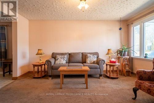 12238 Highway 41, Addington Highlands, ON - Indoor Photo Showing Living Room