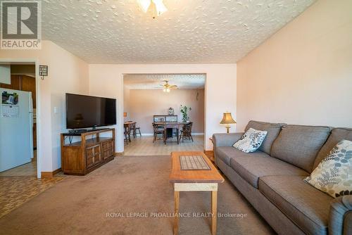 12238 Highway 41, Addington Highlands, ON - Indoor Photo Showing Living Room