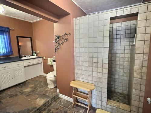 Bathroom - 204 4E Avenue, Belleterre, QC - Indoor Photo Showing Bathroom