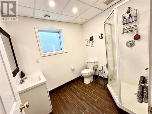 Lower level washroom - 322 Gardiner Road, Perth, ON - Indoor Photo Showing Bathroom