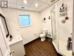 Lower level washroom - 