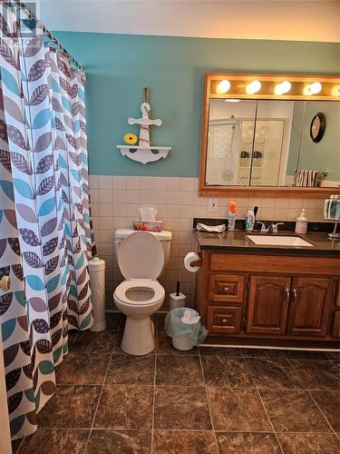 117 Main Road, Fogo Island(Tilting), NL - Indoor Photo Showing Bathroom