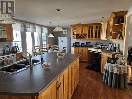 117 Main Road, Fogo Island(Tilting), NL - Indoor Photo Showing Kitchen With Double Sink