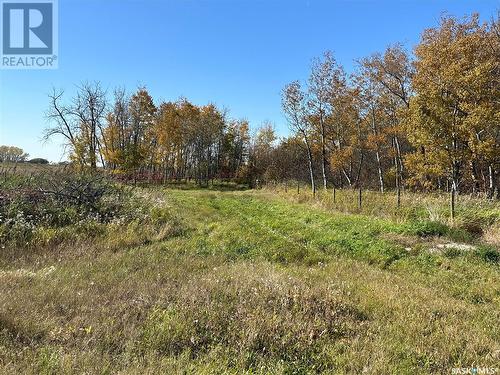Hwy 302 East Acreage, Prince Albert Rm No. 461, SK - Outdoor With View