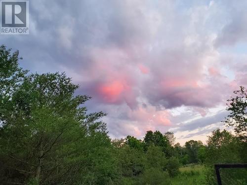 Seller's pic of the property when the land is more lush and green in the summer.  Beautiful sunset skies. - 00 Skootamatta Lane, Tweed, ON 