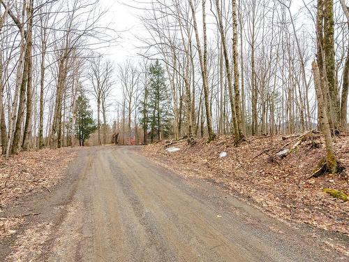 Land/Lot - 8 Rue Highland, Sutton, QC - Outdoor With View
