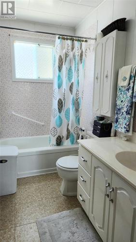 12 Birch Street, Springdale, NL - Indoor Photo Showing Bathroom