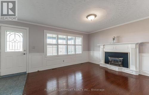 207 Montmorency Drive, Hamilton, ON - Indoor With Fireplace