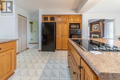 11610 Intersection Road, Tecumseh, ON - Indoor Photo Showing Kitchen
