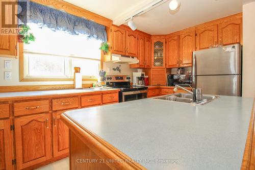 422 Gifford Dr, Smith-Ennismore-Lakefield, ON - Indoor Photo Showing Kitchen With Double Sink