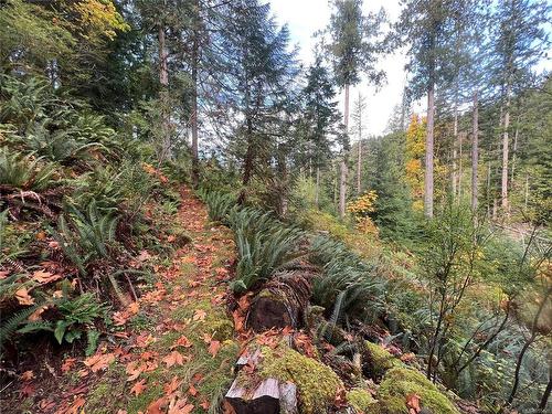 Lot 28 Owen Bay, Sonora Island, BC - Outdoor