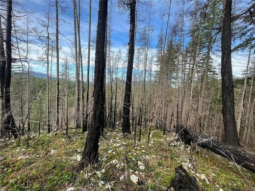 Lot 28 Owen Bay, Sonora Island, BC - Outdoor With View