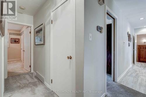 6 Carousel Ave, Hamilton, ON - Indoor Photo Showing Other Room