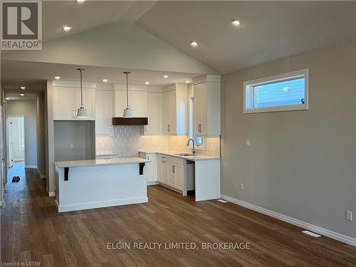 244 Renaissance Dr, St. Thomas, ON - Indoor Photo Showing Kitchen With Upgraded Kitchen