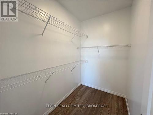 244 Renaissance Drive, St. Thomas, ON - Indoor With Storage