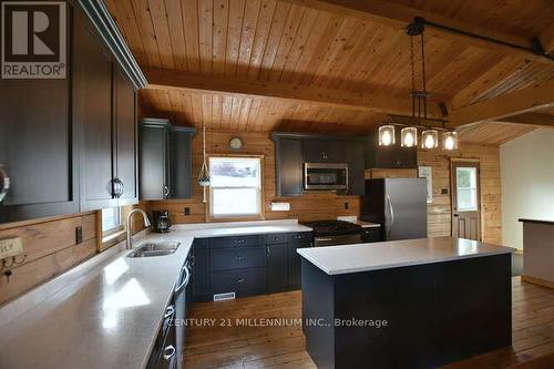 114 Holmcrest Lane, Meaford, ON - Indoor Photo Showing Kitchen With Double Sink