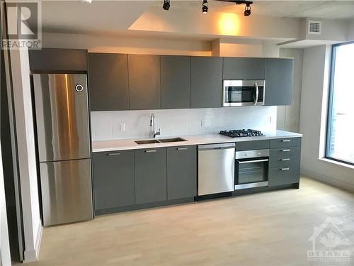 203 Catherine Street Unit#1609, Ottawa, ON - Indoor Photo Showing Kitchen With Stainless Steel Kitchen With Double Sink With Upgraded Kitchen