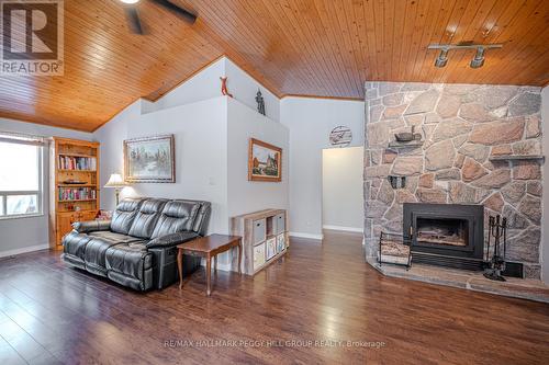 87 Corrievale Rd, Georgian Bay, ON - Indoor Photo Showing Living Room With Fireplace