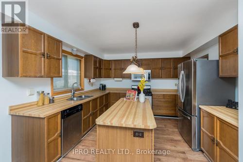 81 Barr Cres, Brampton, ON - Indoor Photo Showing Kitchen With Double Sink