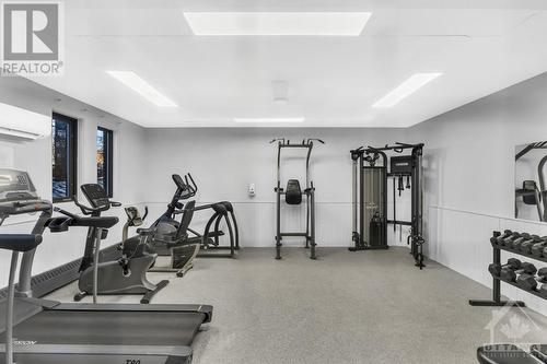 20 Chesterton Drive Unit#417, Ottawa, ON - Indoor Photo Showing Gym Room