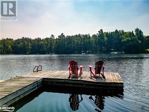 Dock on Clear Lake - 192 10Th Concession, Seguin, ON - Outdoor With Body Of Water With View
